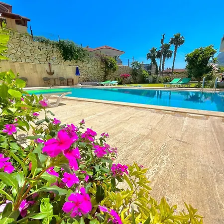 White ıçmeler Daire *