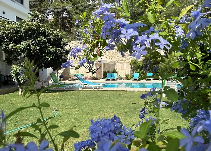 White Icmeler * マルマリス